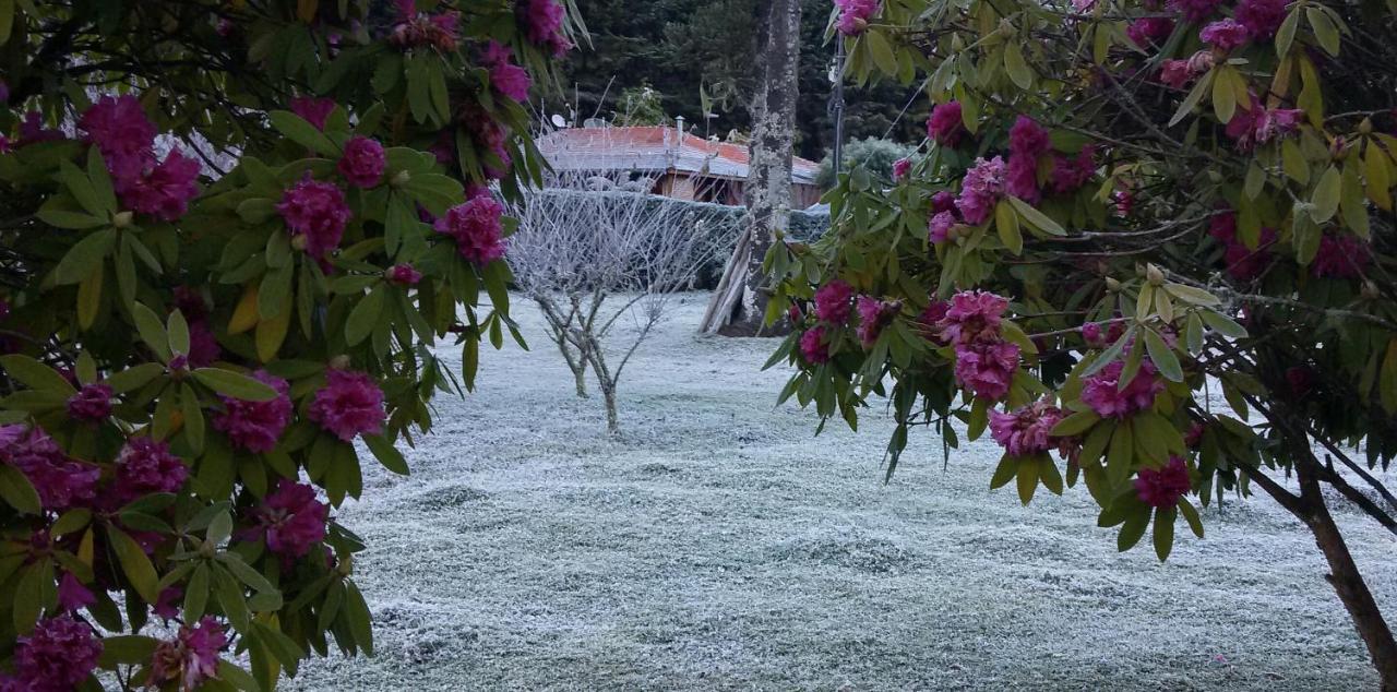 Recanto Da Natureza, Chale Gonçalves Eksteriør billede