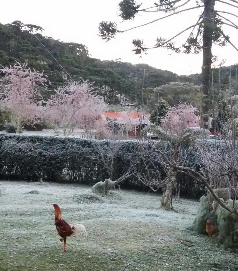 Recanto Da Natureza, Chale Gonçalves Eksteriør billede