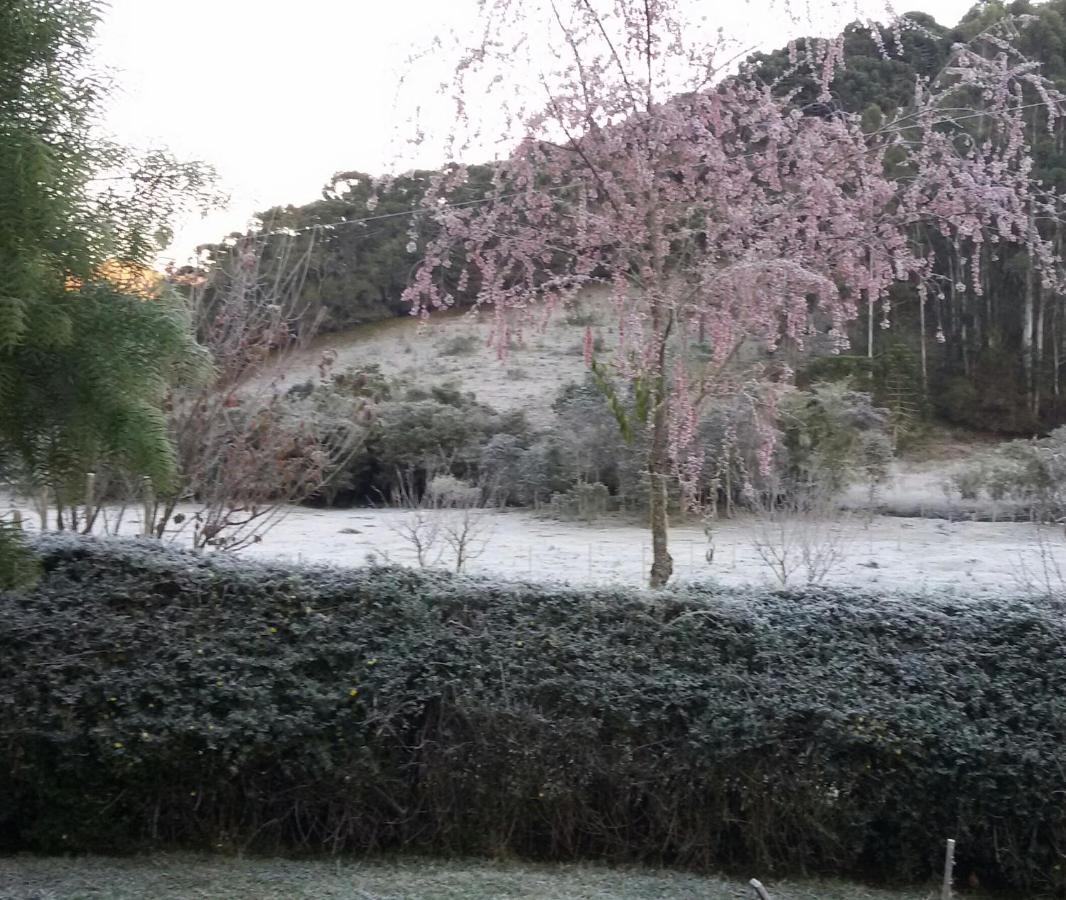 Recanto Da Natureza, Chale Gonçalves Eksteriør billede