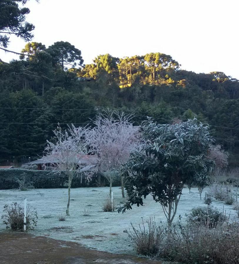 Recanto Da Natureza, Chale Gonçalves Eksteriør billede